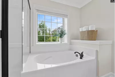 145 Indian Grass Drive, Chapin, SC 29036 - Photo 27