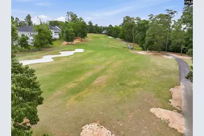 212 Bays End Court, Chapin, SC 29036 - Photo 37