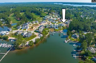 212 Bays End Ct, Chapin, SC 29036 - Photo 53