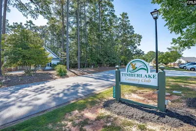 212 Bay's End Court, Chapin, SC 29036 - Photo 35