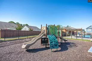 212 Bays End Ct, Chapin, SC 29036 - Photo 45