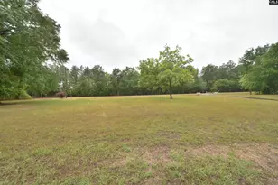 1005 Hwy 178, Pelion, SC 29123 - Photo 5