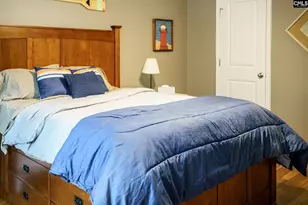 303 Pine Meadow Dr, Chapin, SC 29036 - Photo 37