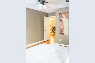 303 Pine Meadow Drive, Chapin, SC 29036 - Photo 43