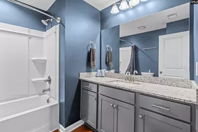303 Pine Meadow Drive, Chapin, SC 29036 - Photo 29