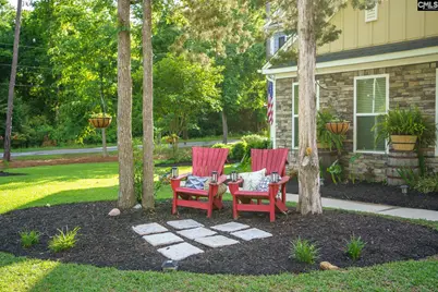 303 Pine Meadow Drive, Chapin, SC 29036 - Photo 3