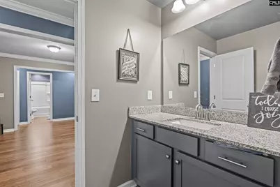 303 Pine Meadow Drive, Chapin, SC 29036 - Photo 39