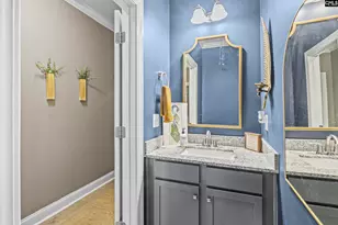 303 Pine Meadow Dr, Chapin, SC 29036 - Photo 21