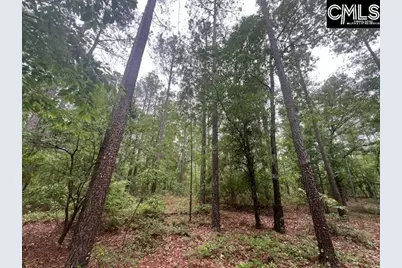Fox Young Road, Wagener, SC 29164 - Photo 5