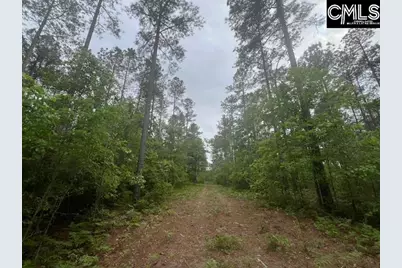Fox Young Road, Wagener, SC 29164 - Photo 29