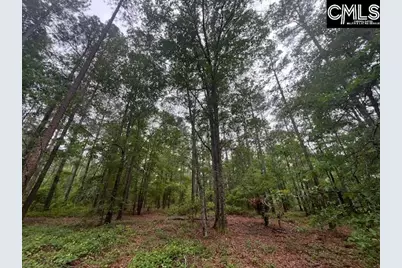 Fox Young Road, Wagener, SC 29164 - Photo 17