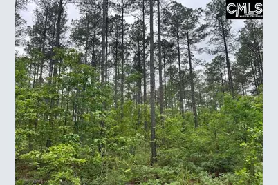 Fox Young Road, Wagener, SC 29164 - Photo 35