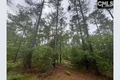 Fox Young Road, Wagener, SC 29164 - Photo 15