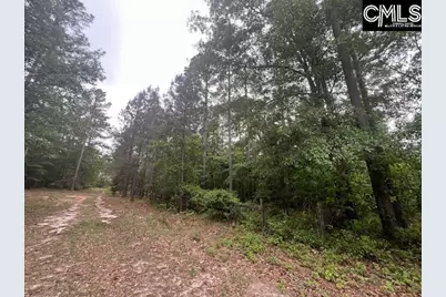 Fox Young Road, Wagener, SC 29164 - Photo 11