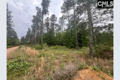 Fox Young Road, Wagener, SC 29164 - Photo 57