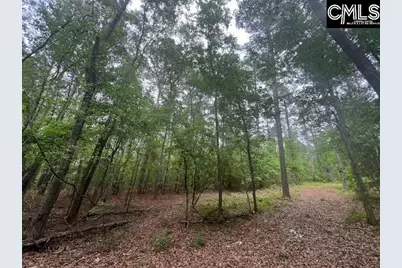 Fox Young Road, Wagener, SC 29164 - Photo 45