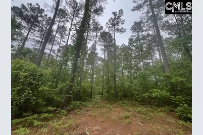 Fox Young Road, Wagener, SC 29164 - Photo 39