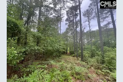 Fox Young Road, Wagener, SC 29164 - Photo 49