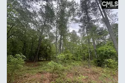 Fox Young Road, Wagener, SC 29164 - Photo 19