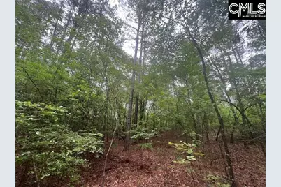Fox Young Road, Wagener, SC 29164 - Photo 51