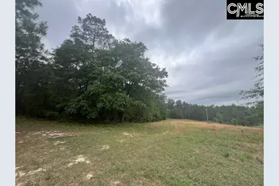 Fox Young Road, Wagener, SC 29164 - Photo 13