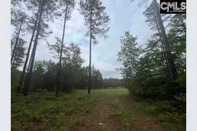 Fox Young Road, Wagener, SC 29164 - Photo 23