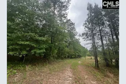 Fox Young Road, Wagener, SC 29164 - Photo 7