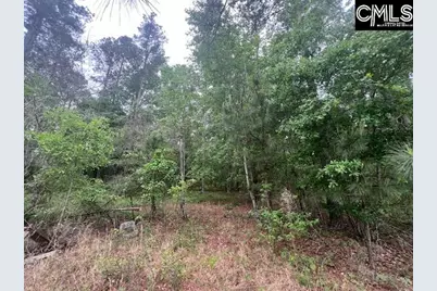 Fox Young Road, Wagener, SC 29164 - Photo 9