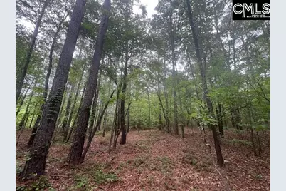 Fox Young Road, Wagener, SC 29164 - Photo 43