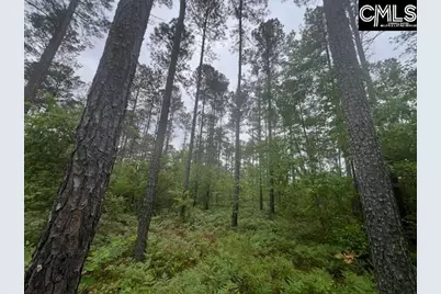 Fox Young Road, Wagener, SC 29164 - Photo 33