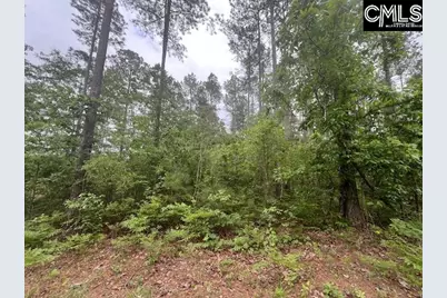 Fox Young Road, Wagener, SC 29164 - Photo 31