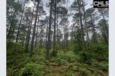 Fox Young Road, Wagener, SC 29164 - Photo 3