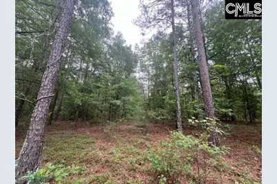 Fox Young Road, Wagener, SC 29164 - Photo 21