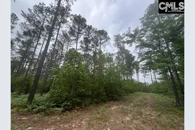 Fox Young Road, Wagener, SC 29164 - Photo 37