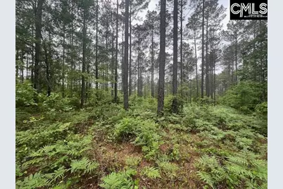 Fox Young Road, Wagener, SC 29164 - Photo 27