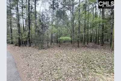 0 Kennerly Road, Irmo, SC 29063 - Photo 1