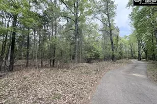 0 Kennerly Rd, Irmo, SC 29063 - Photo 3