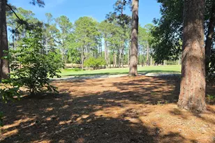 120 Creekside Cottage Ct, Blythewood, SC 29016 - Photo 41