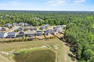 292 Meadow Springs Dr, Columbia, SC 29229 - Photo 45