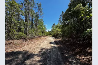 0 Sawyer Road, Monetta, SC 29105 - Photo 17