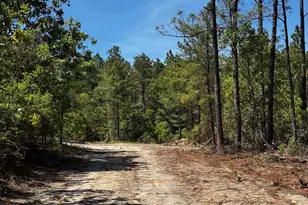 0 Sawyer Rd, Monetta, SC 29105 - Photo 1