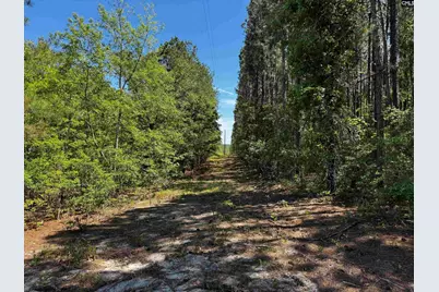 0 Sawyer Road, Monetta, SC 29105 - Photo 23