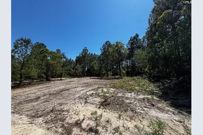 0 Sawyer Road, Monetta, SC 29105 - Photo 19