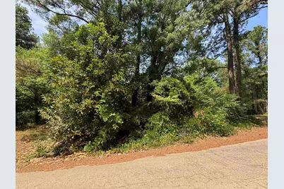 1331 Boston Street, Columbia, SC 29203 - Photo 3