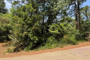 1331 Boston St, Columbia, SC 29203 - Photo 3