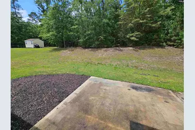 114 Tall Pines Road, Gaston, SC 29053 - Photo 43