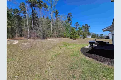 114 Tall Pines Road, Gaston, SC 29053 - Photo 33
