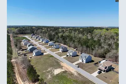 114 Tall Pines Road, Gaston, SC 29053 - Photo 39