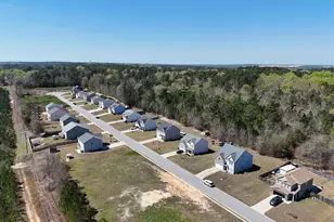 114 Tall Pnes Rd, Gaston, SC 29053 - Photo 39