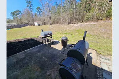 114 Tall Pines Road, Gaston, SC 29053 - Photo 27